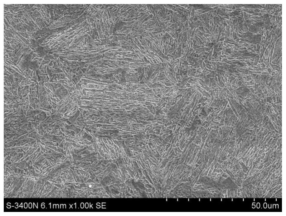 Wear-resistant and corrosion-resistant high-strength steel and preparation method thereof