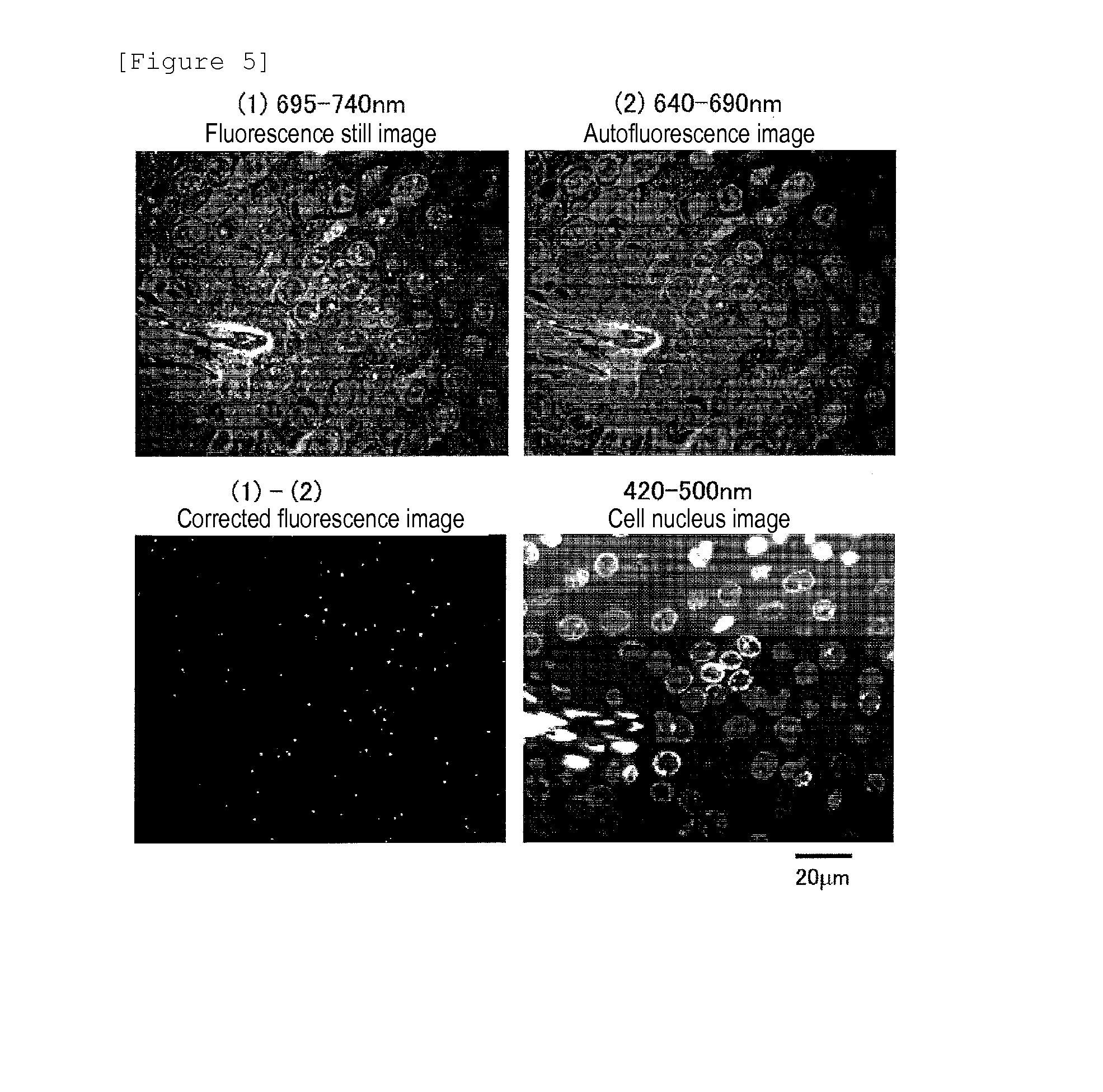 Method for Determining Effectiveness of Medicine Containing Antibody as Component
