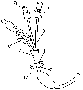 Thoracic and abdominal effusion drainage device