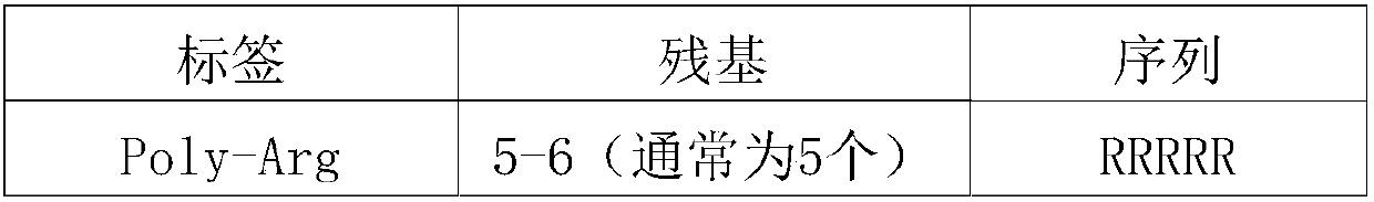 Method for promoting fertility of distant hybridization generation of paddy and applied protein