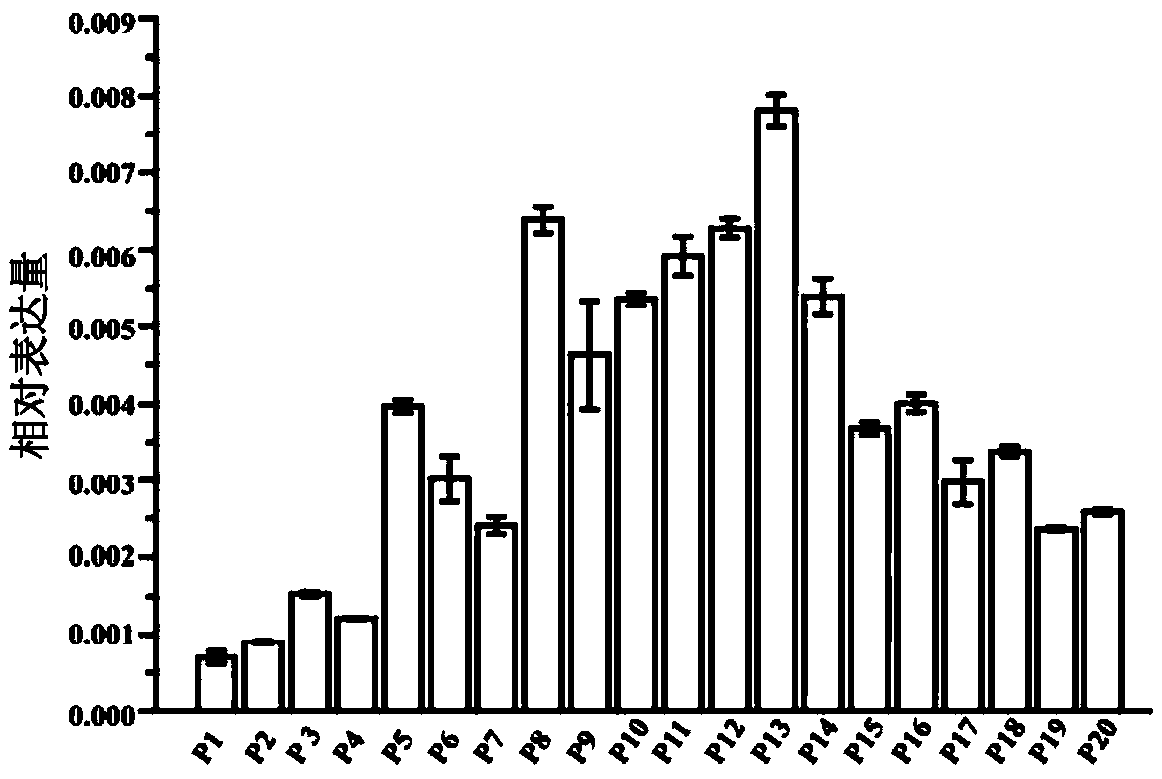 Method for promoting fertility of distant hybridization generation of paddy and applied protein