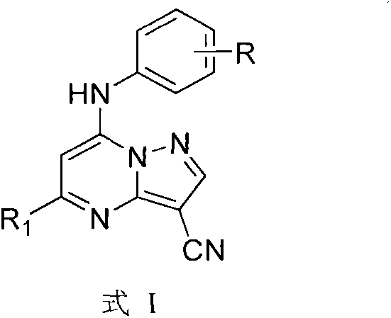 Pyrazolo[1,5-alpha] pyrimidine nitrogen mustard derivatives, preparation methods of pyrazolo[1,5-alpha] pyrimidine nitrogen mustard derivatives, and application of pyrazolo[1,5-alpha] pyrimidine nitrogen mustard derivatives in oncotherapy