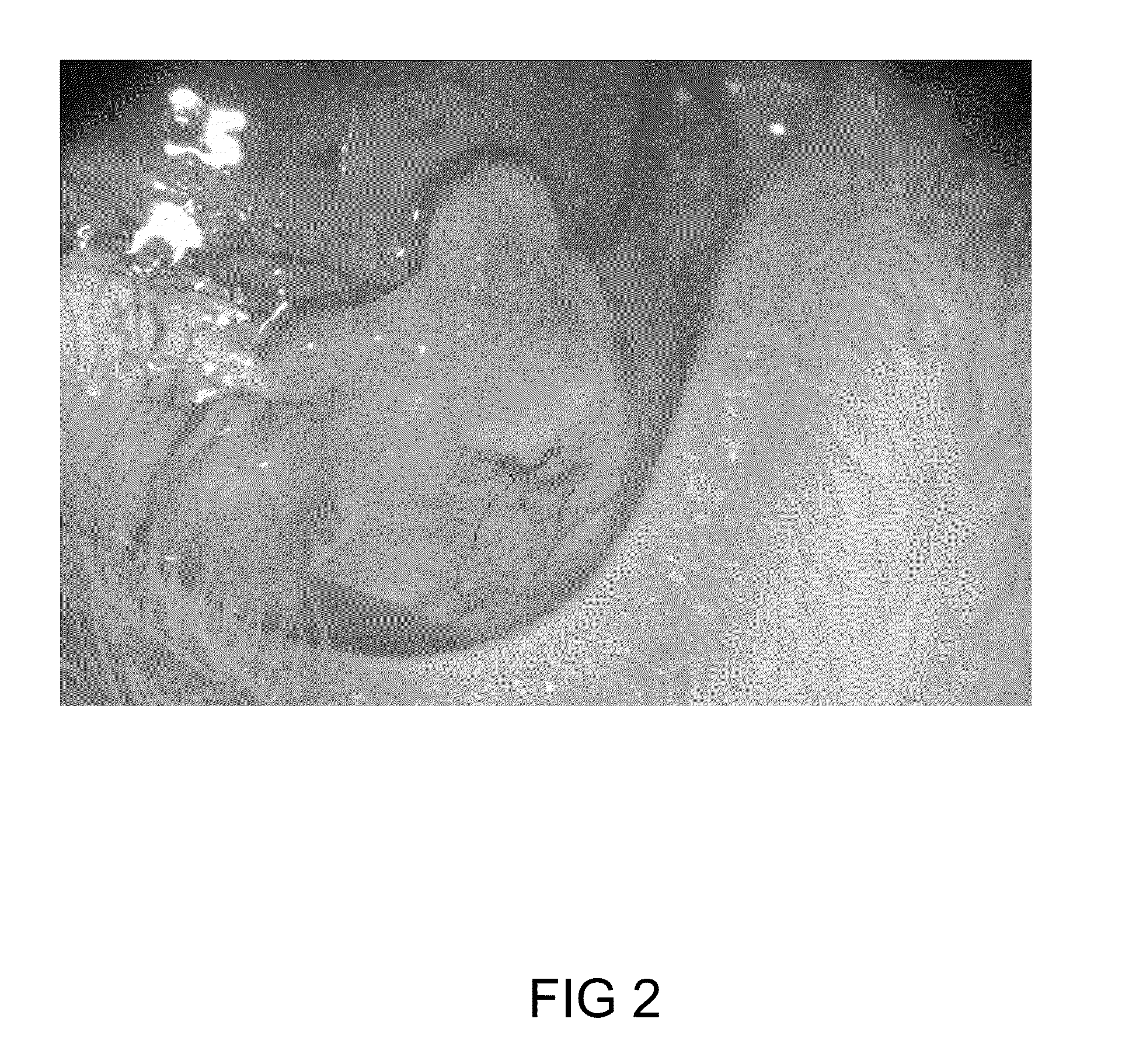 Method for making particle/polymer composites and applications