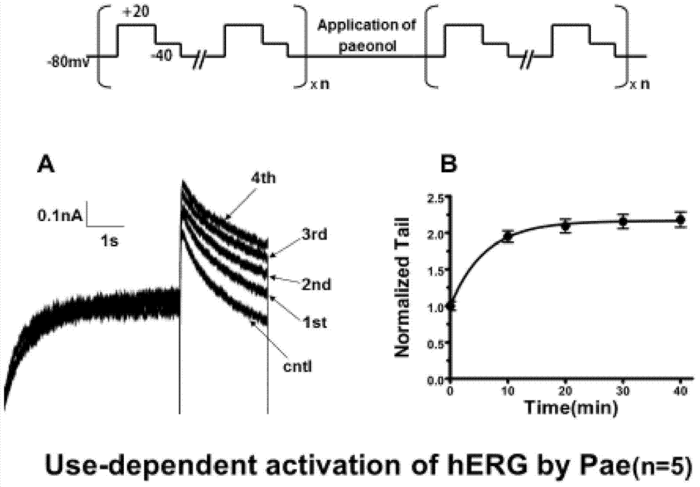 Application of paeonol in the preparation of drugs for activating herg ion channels