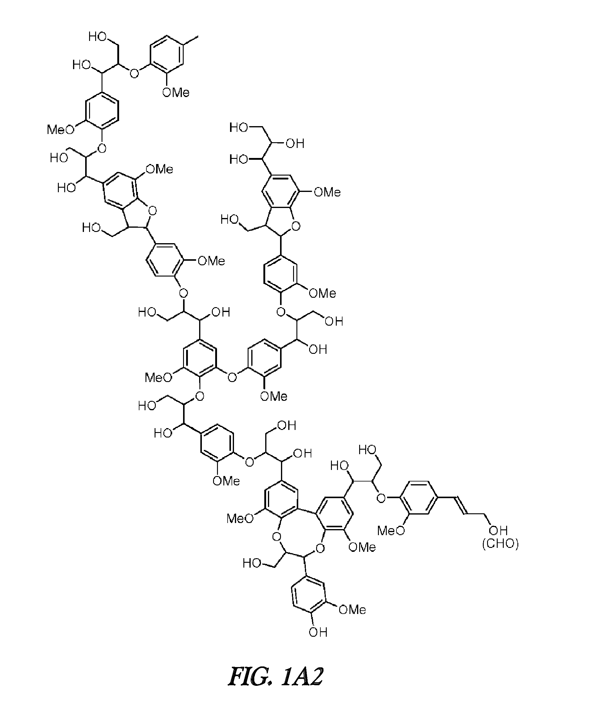 FERULOYL-CoA:MONOLIGNOL TRANSFERASE