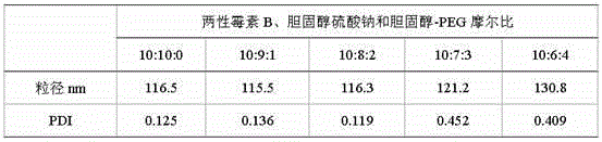 Amphotericin B nano composite, and preparation method thereof