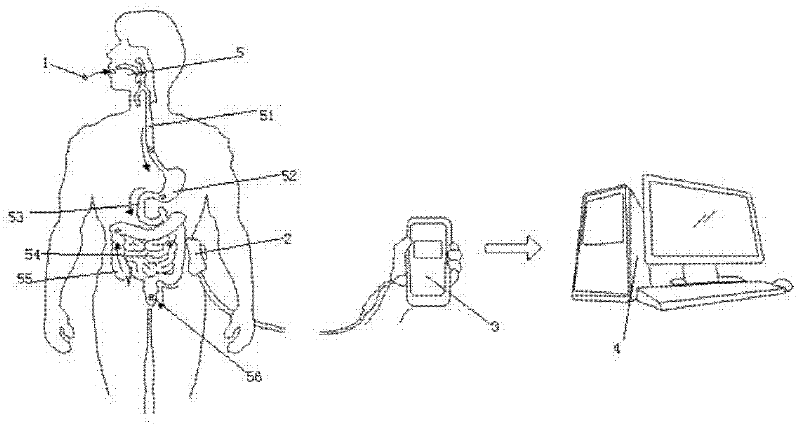 Capsule enteroscopy system with electronic charge coupled device (CCD) camera system and night vision camera