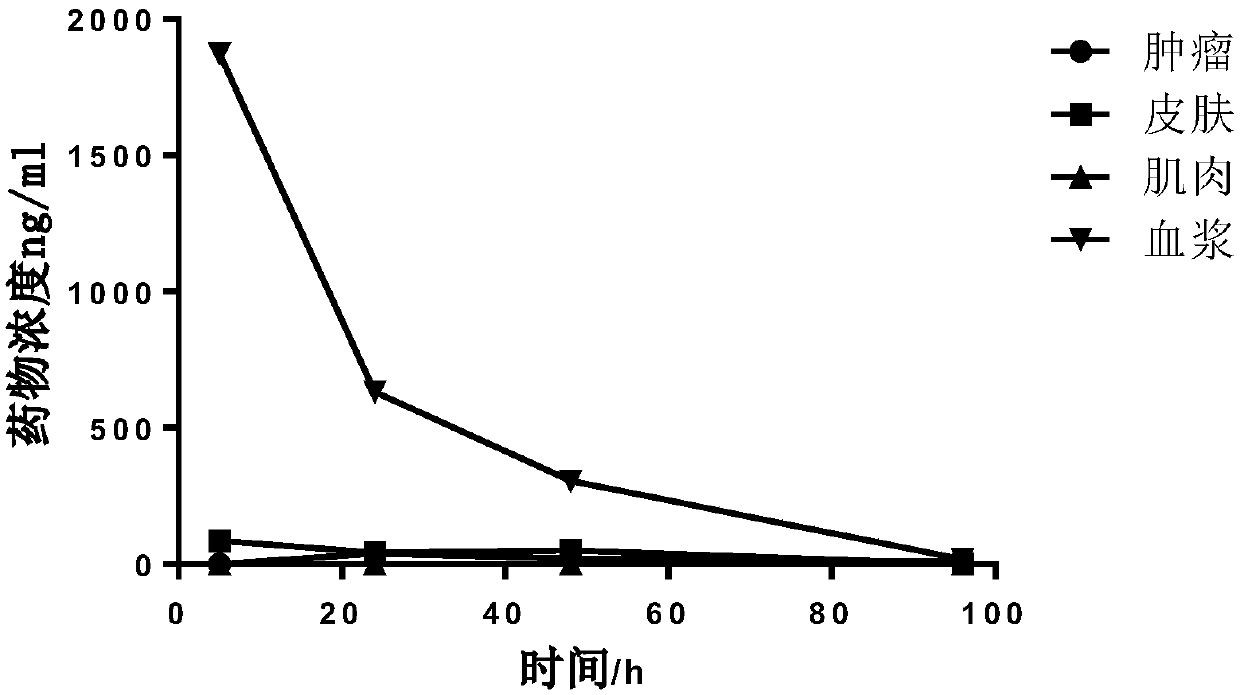 Bacterial chlorophyll derivative and preparation method thereof