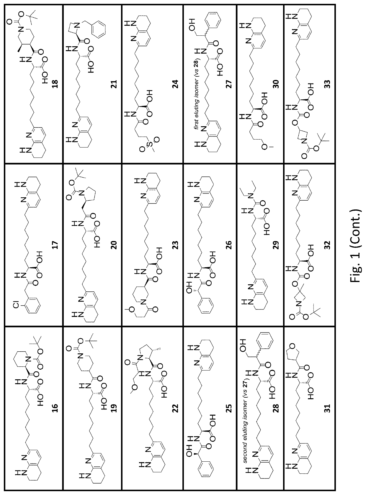 Amino acid compounds with unbranched linkers and methods of use