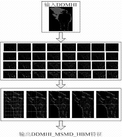 Behavior recognition method based on depth and RGB information and multi-scale and multidirectional rank and level characteristics