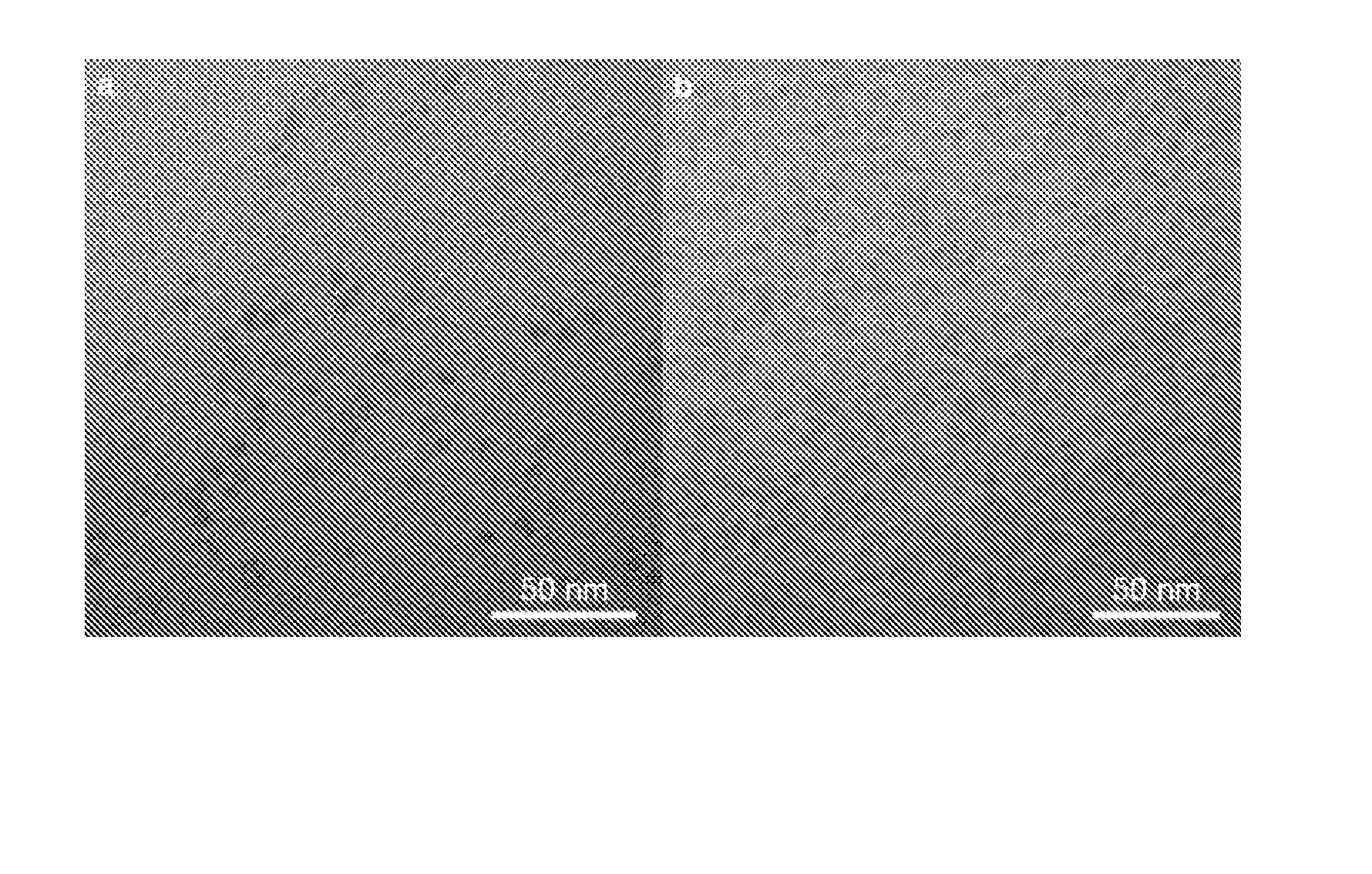 Cuinse/zns nir-quantum dots (QDS) for biomedical imagiing