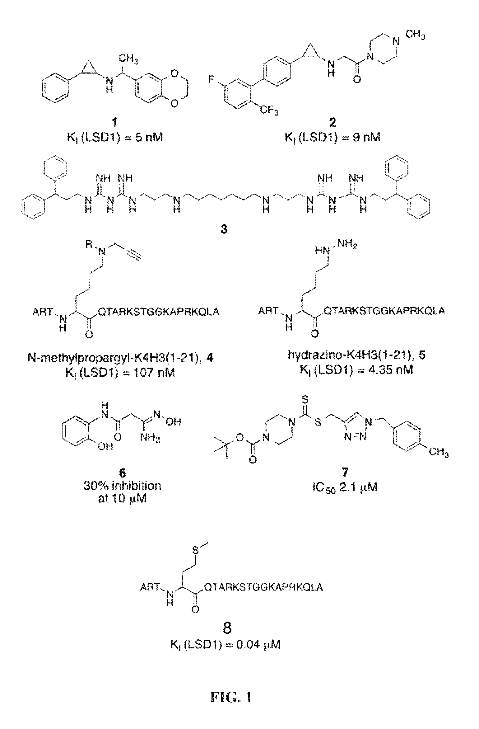 Cyclic peptide inhibitors of lysine-specific demethylase 1