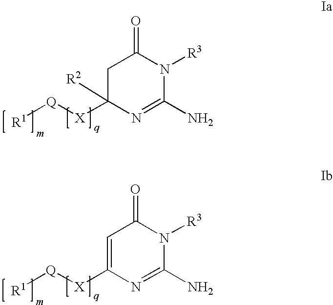 Substituted Amino-Pyrimidones and Uses Thereof