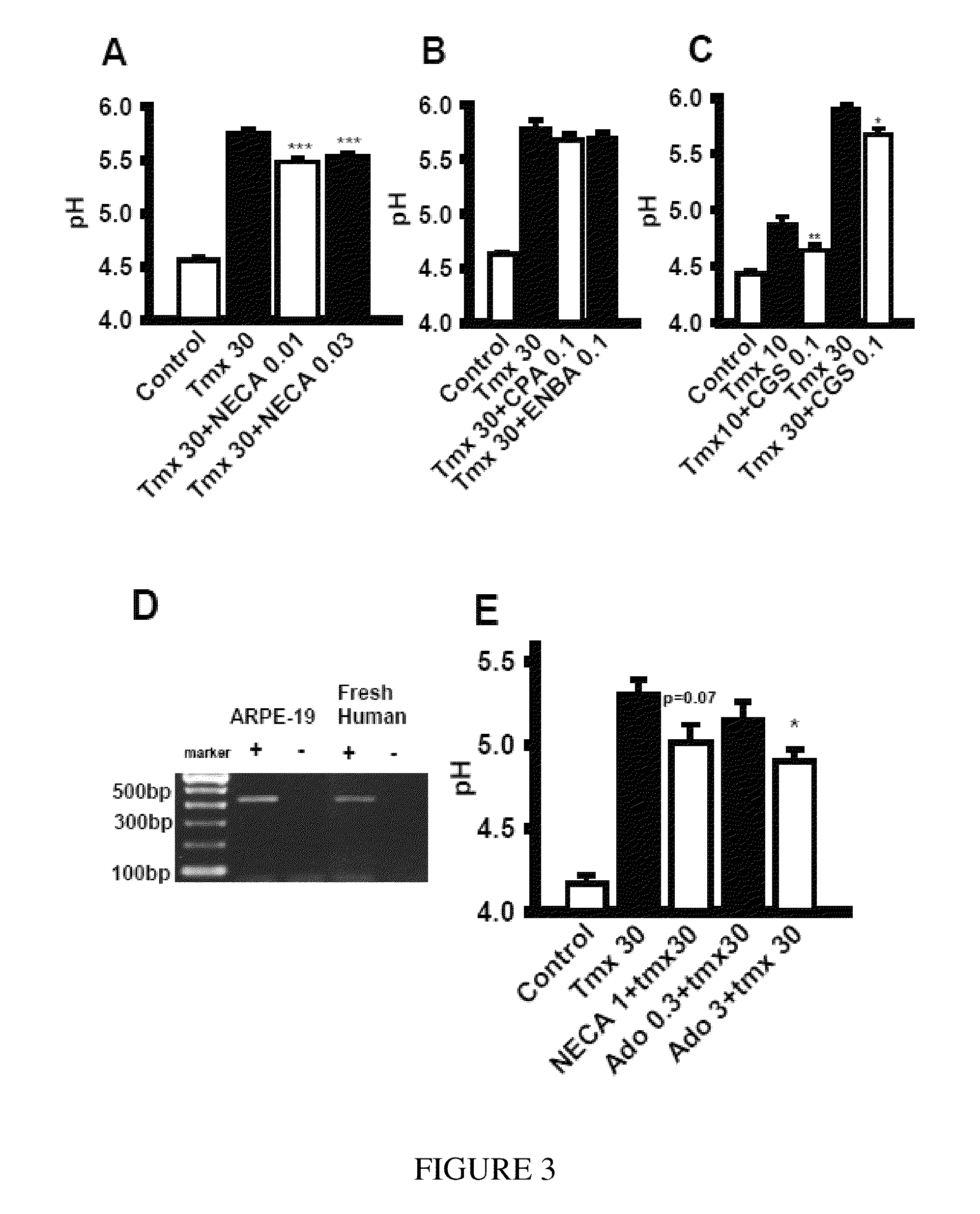 Method for treatment of macular degeneration by modulating P2Y12 or P2X7 receptors