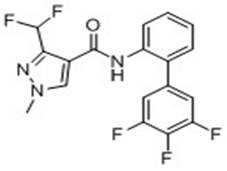 Synthesis method of fluxapyroxad based on Suzuki reaction