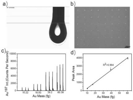Polypeptide-metal cluster probe for specifically recognizing CTC membrane protein and application of polypeptide-metal cluster probe for quantitatively detecting expression quantity of membrane protein
