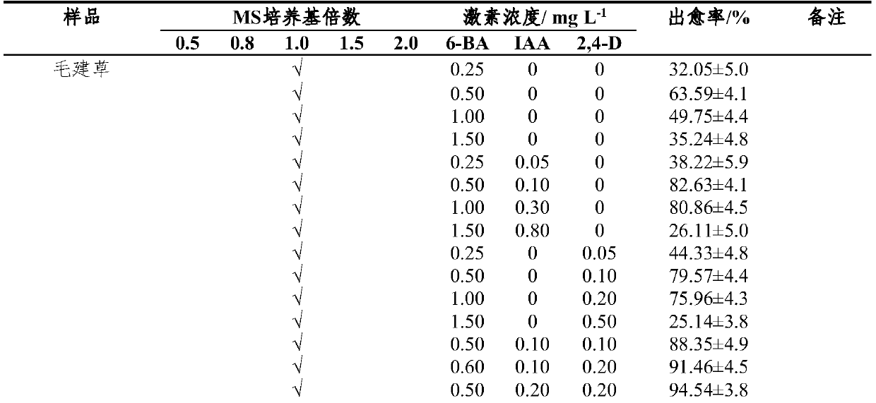Culture medium group for tissue culture rapid propagation of dracocephalum plants and application thereof