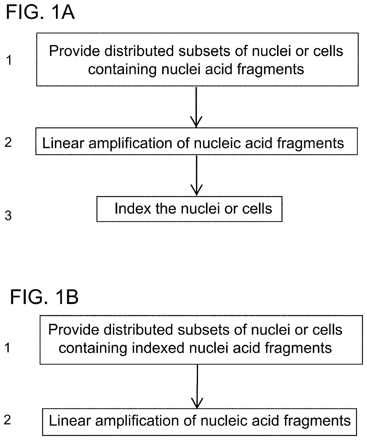 High-throughput single-cell sequencing with reduced amplification bias