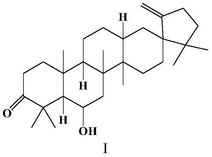 Application of Cleistanone dimethylamine derivative in preparation of antibacterial drugs