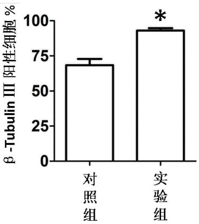 Neuron primary culture purification method