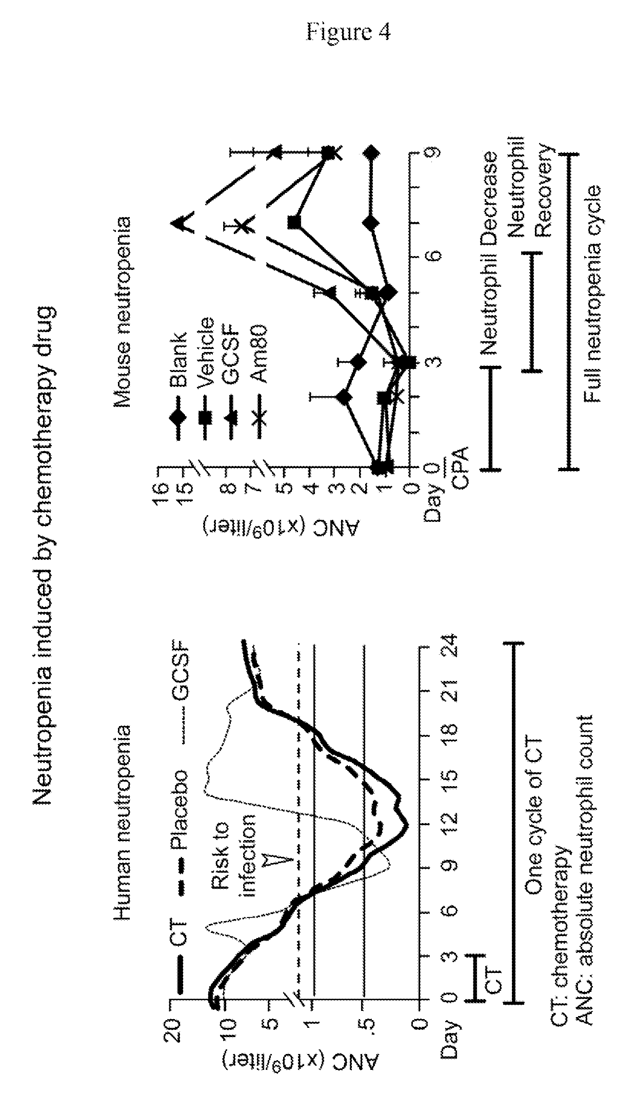 Compositions and methods for treating neutropenia