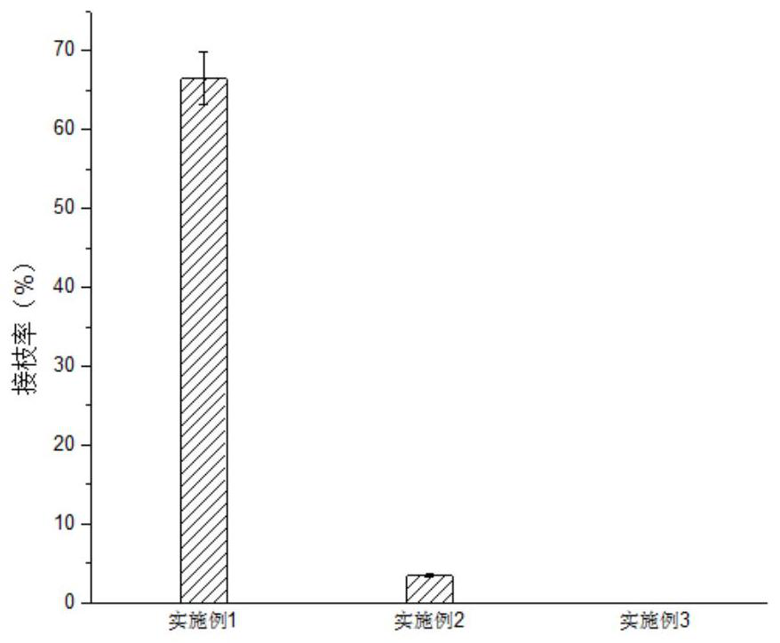 Water-resistant environment-friendly fiber filter material and preparation method thereof