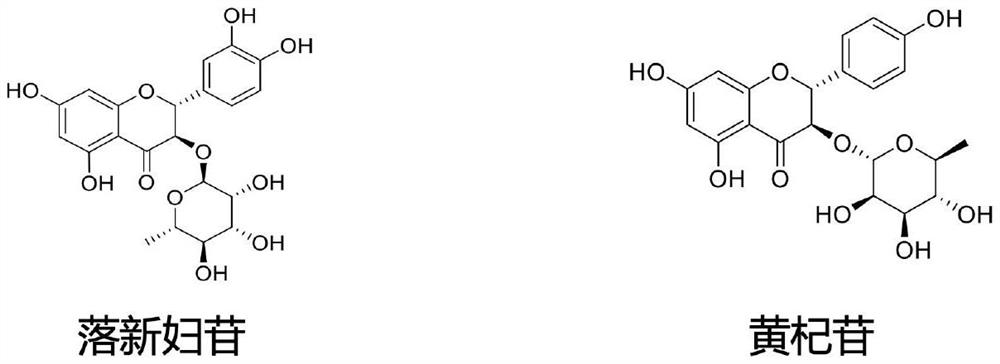 Application of composition containing astilbin and/or isomer thereof to preparation of medicine for treating psoriasis