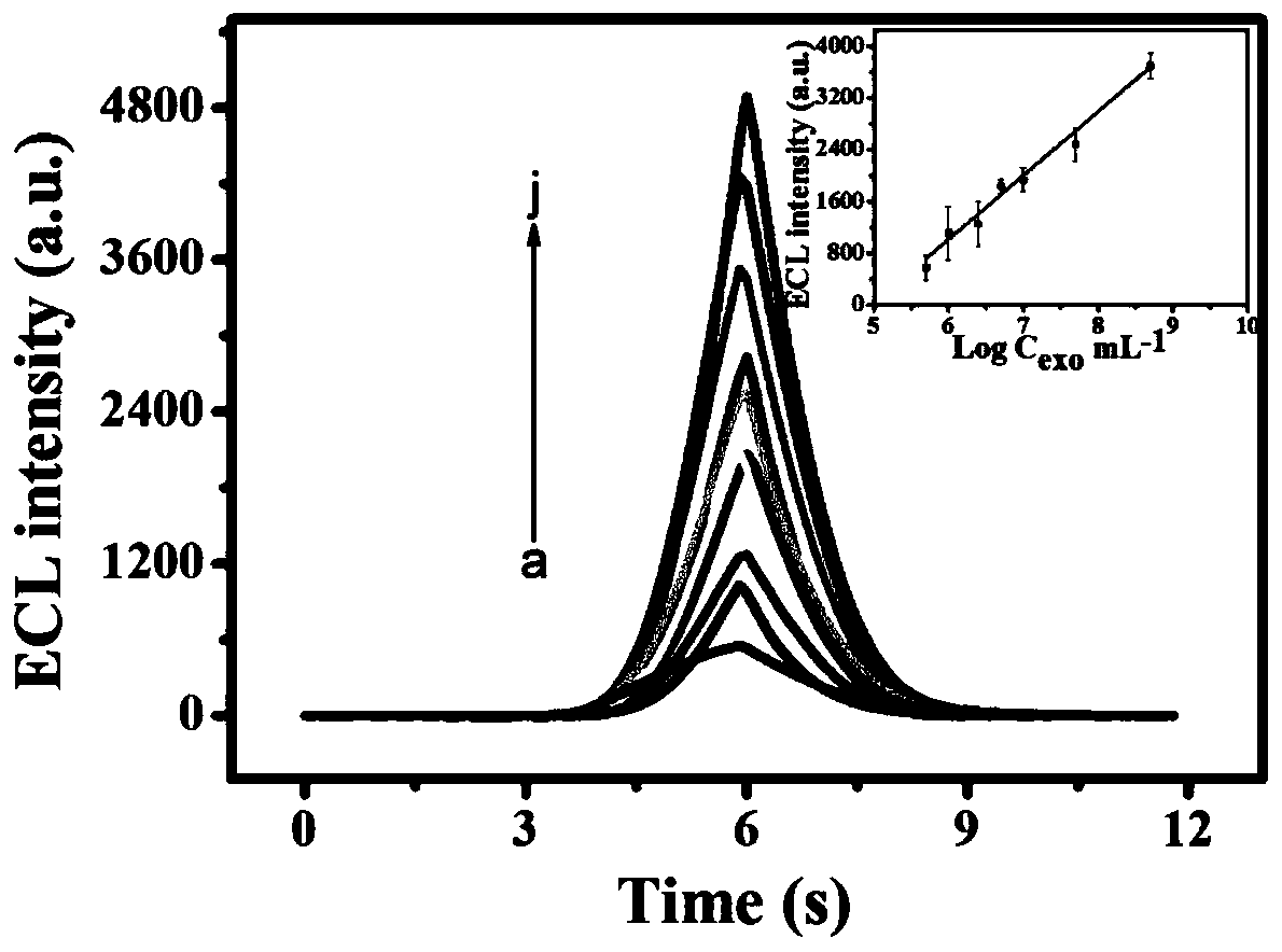 A biosensor and preparation method based on three-titanium carbide two-dimensional metal carbide catalyzed luminol electrochemiluminescence probe