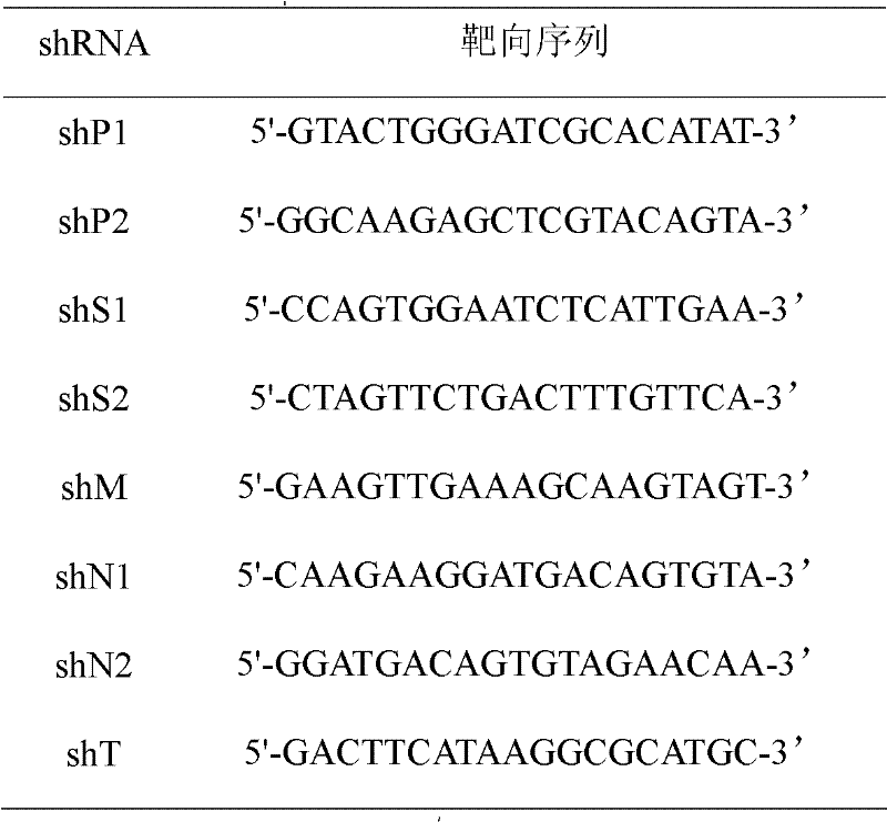 Method for designing siRNA (Small Interfering Ribonucleic Acid) molecule resisting RNA virus