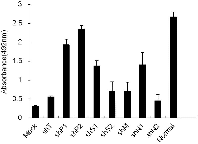 Method for designing siRNA (Small Interfering Ribonucleic Acid) molecule resisting RNA virus