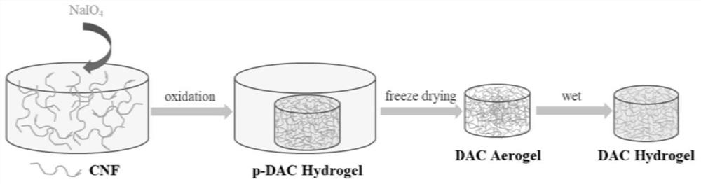 A kind of dialdehyde nanocellulose three-dimensional flexible material and its preparation method and application