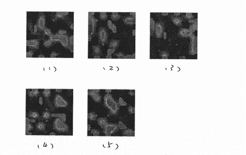 Hyperspectral unmixing method for estimating regularized parameter automatically