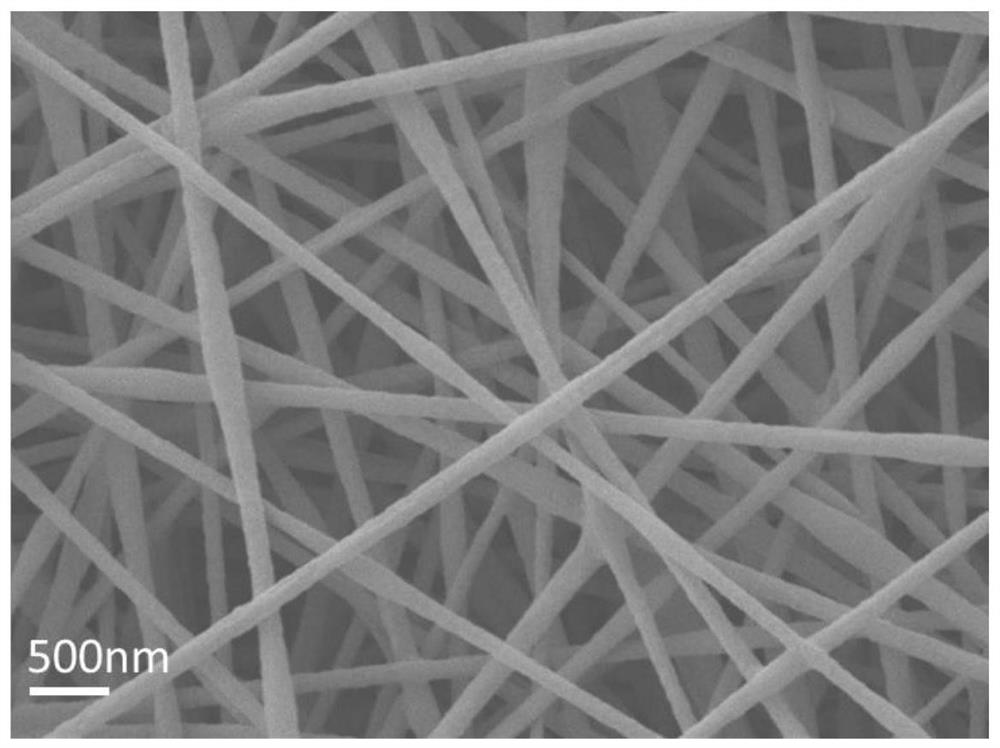 Preparation method of FeNx nanoparticle doped bamboo-like carbon nanotube