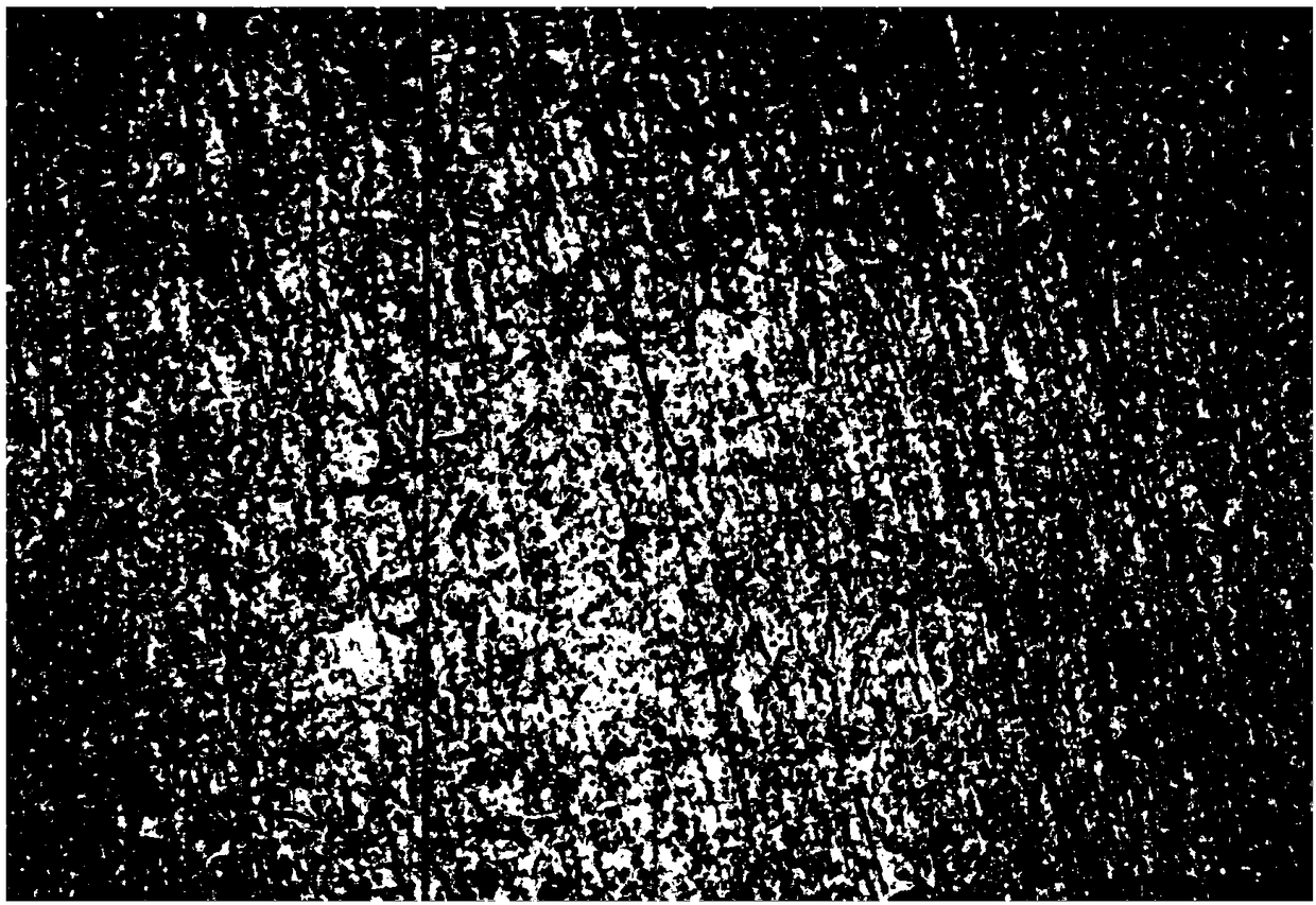 Preparation method of sample for representing graphite optical microscopic structure