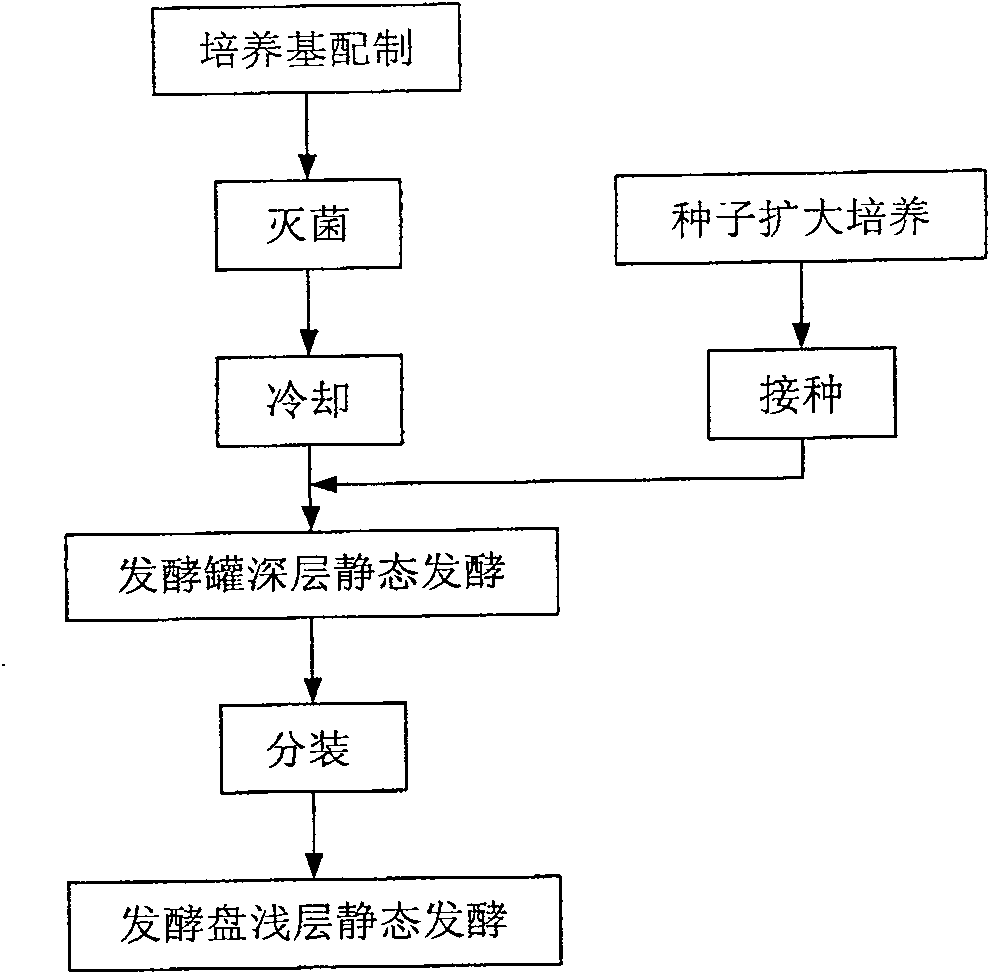 Method for producing Nata de Coco by deep layer and superficial layer static state couple fermentation