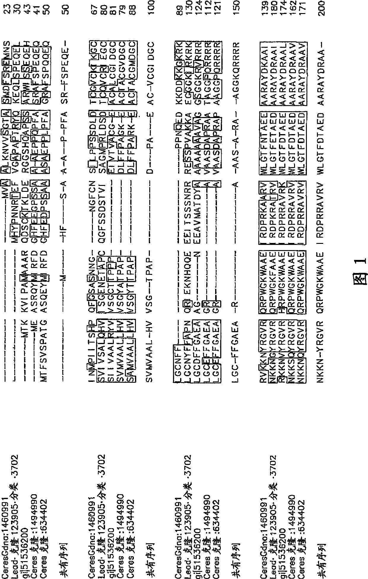 Nucleotide sequence and corresponding polypeptide for endowing plant with adjusted growth velocity and biomass