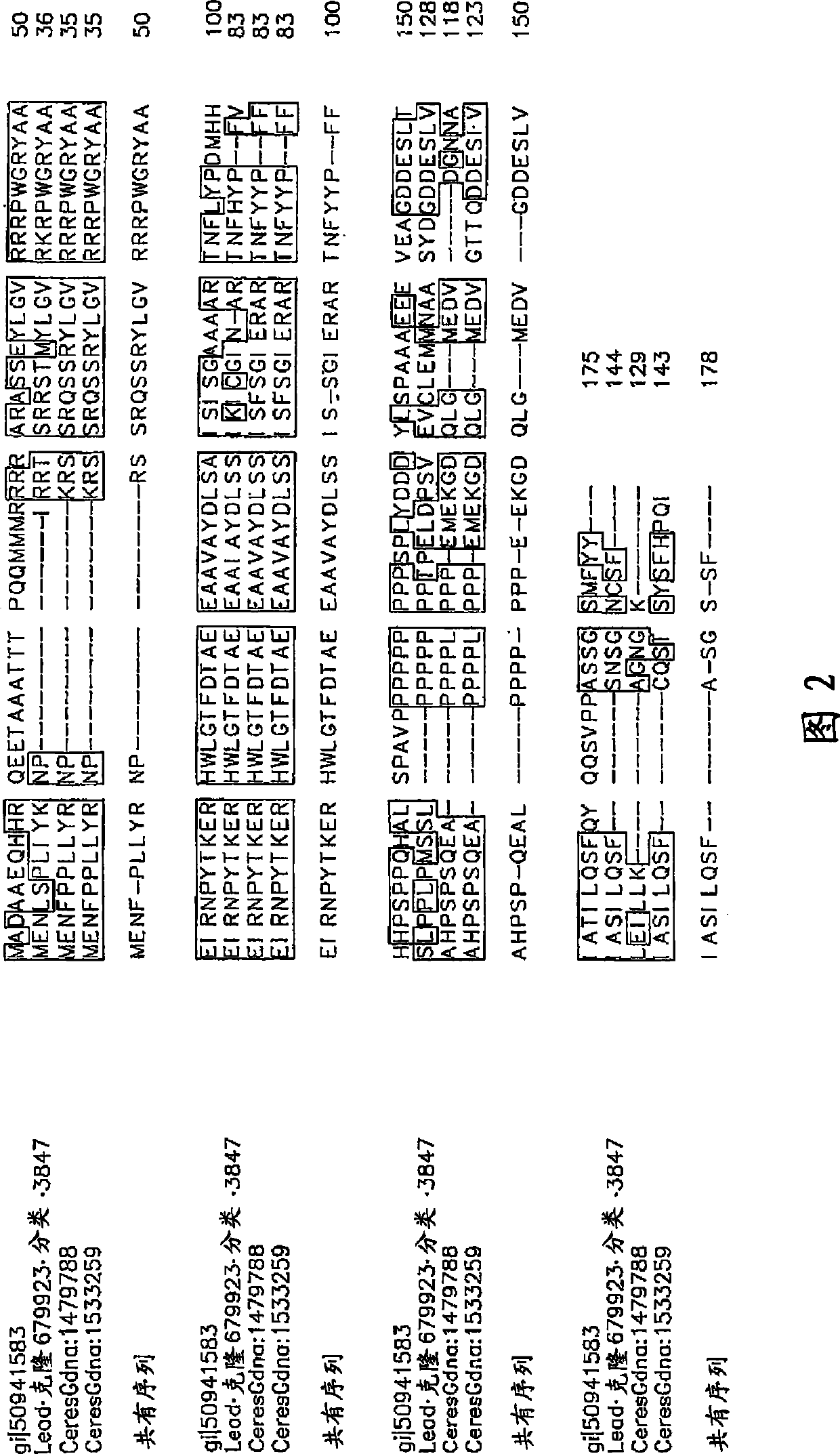 Nucleotide sequence and corresponding polypeptide for endowing plant with adjusted growth velocity and biomass