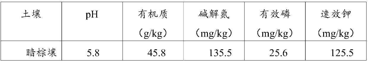 Compound microbial fertilizer for preventing continuous cropping of ginseng and preparation method thereof