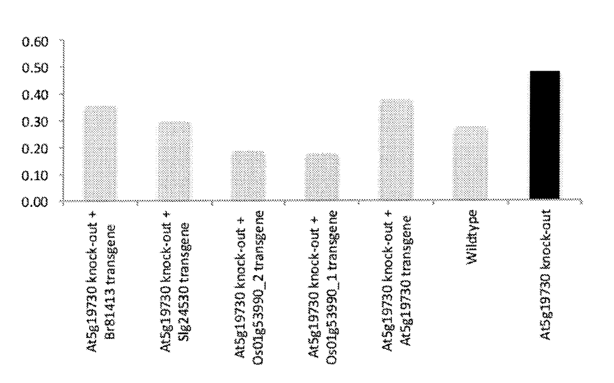 Drought resistance in plants: pectinesterase