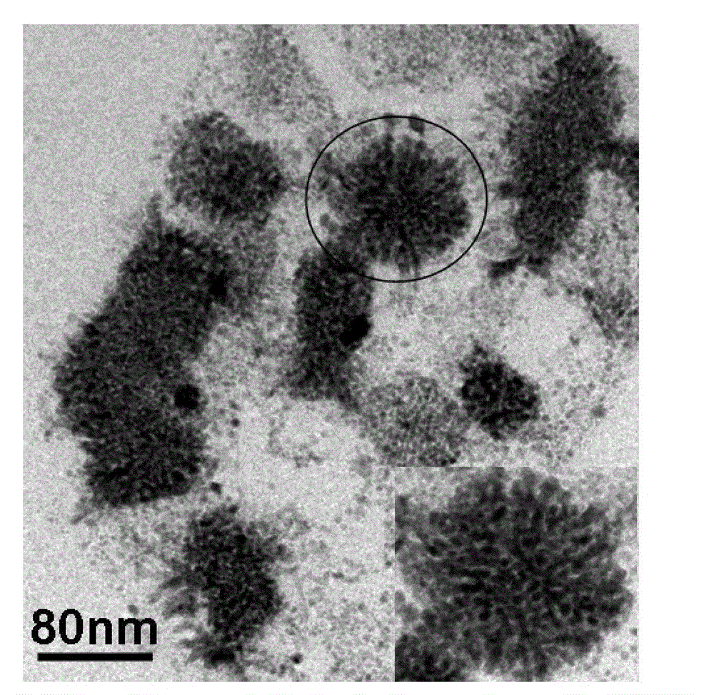 Ultrasonic radiation preparation method for chrysanthemum-like nano-palladium aggregate material