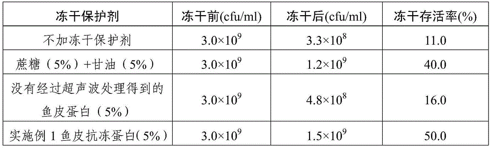 Fish skin antifreeze protein as well as preparation method and application thereof