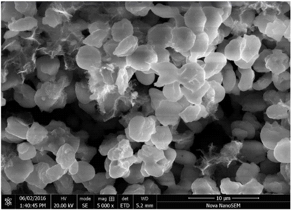 High-conductivity lithium iron phosphate powder and preparation method thereof