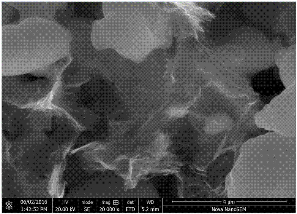 High-conductivity lithium iron phosphate powder and preparation method thereof