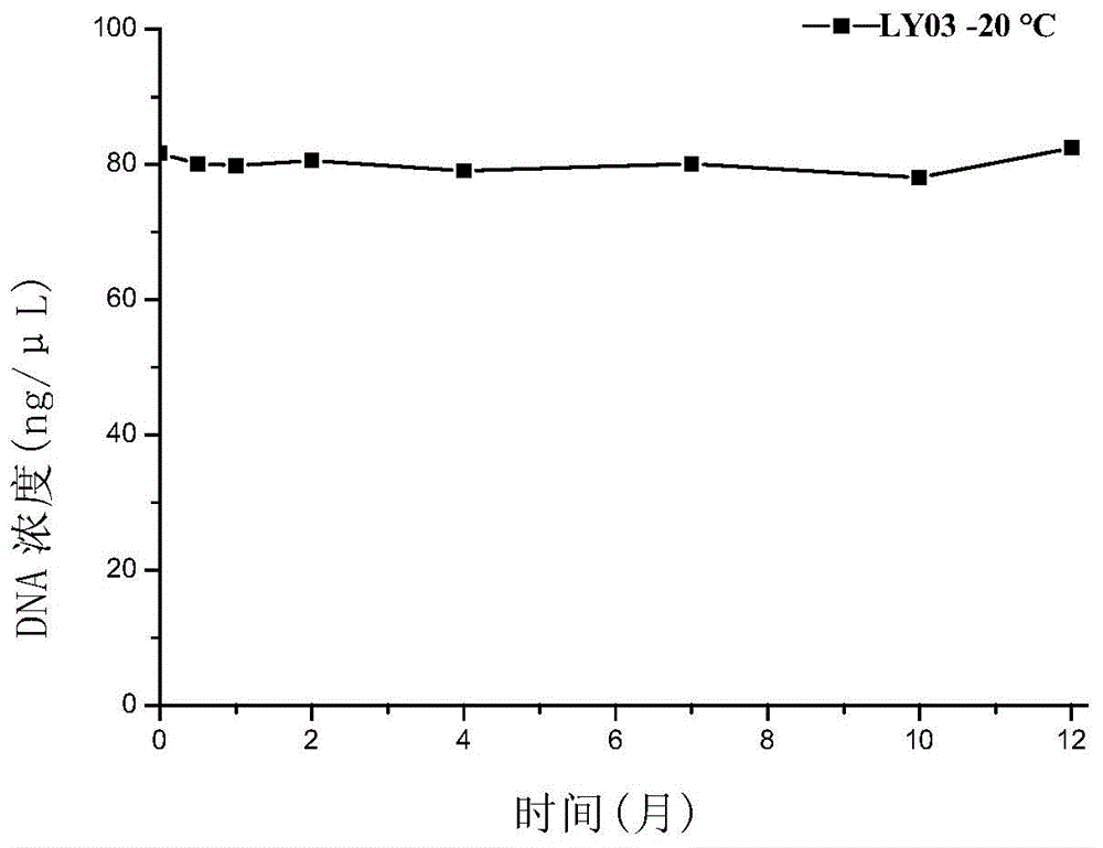 Polynucleotide for staphylococcus aureus detection, method and kit