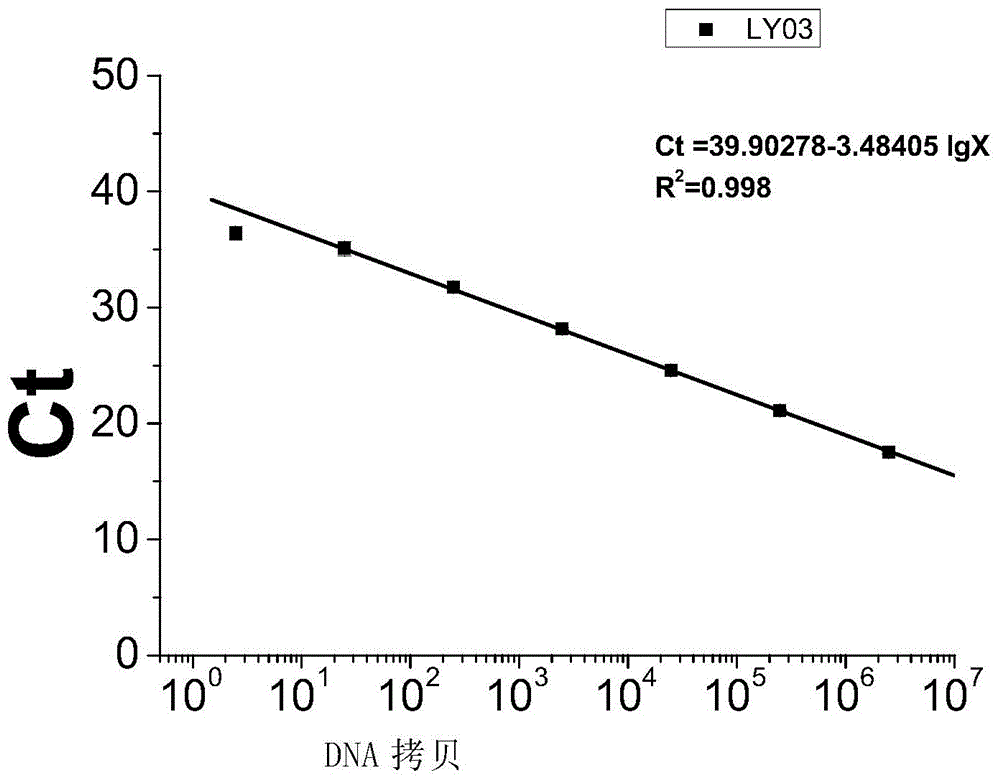 Polynucleotide for staphylococcus aureus detection, method and kit
