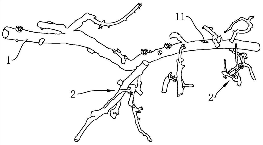 A branch flower pot and its manufacturing process