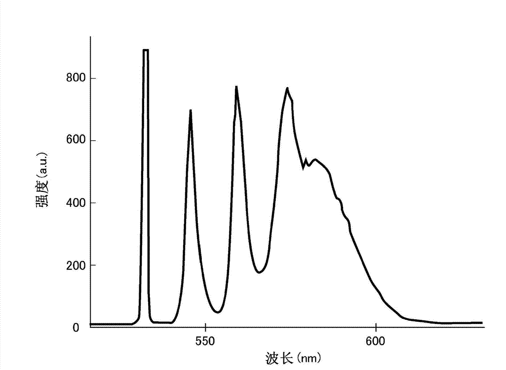 Nonlinear Raman spectroscopic apparatus, microspectroscopic apparatus, and microspectroscopic imaging apparatus