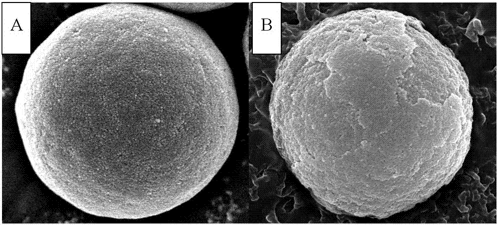 A core-shell hydrophilic chromatographic stationary phase with a metal-organic framework as the shell, its preparation method and application