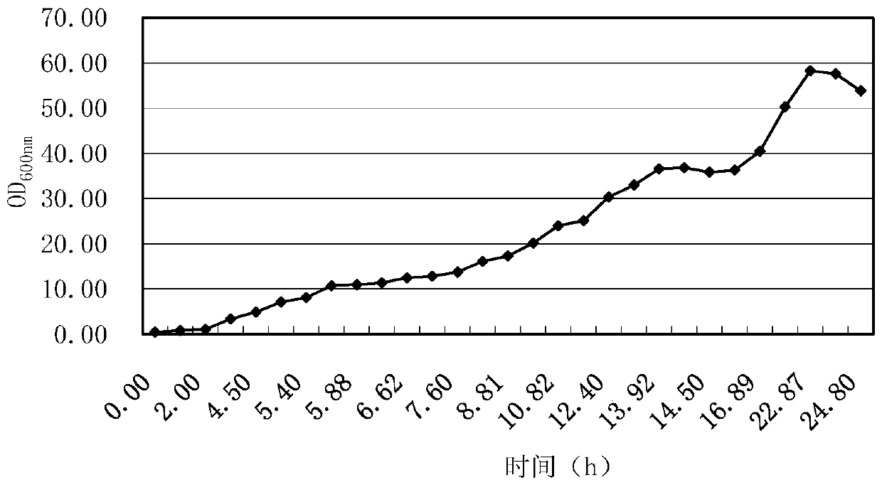 A kind of amino lyase mutant protein and its coding gene and application