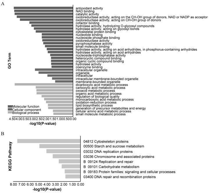 Hibiscus cannabinus lead stress response gene EST-SSR primer group and kit